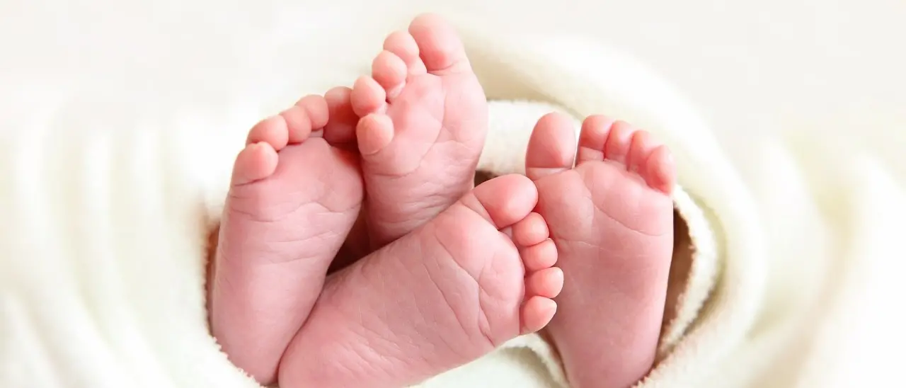 Arginare l’Italia che invecchia, Gatjc rilancia la sfida della fertilità per far nascere il futuro\n