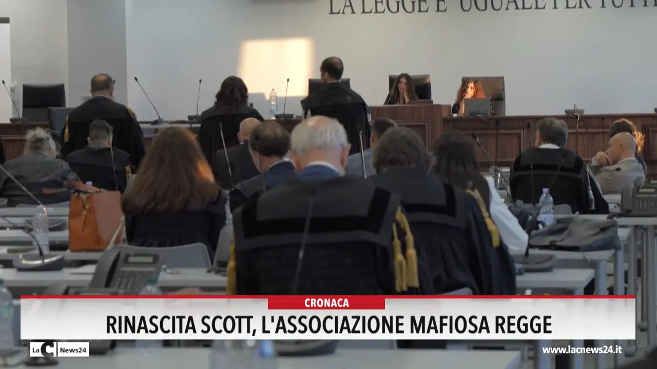 Rinascita Scott, l'associazione mafiosa regge