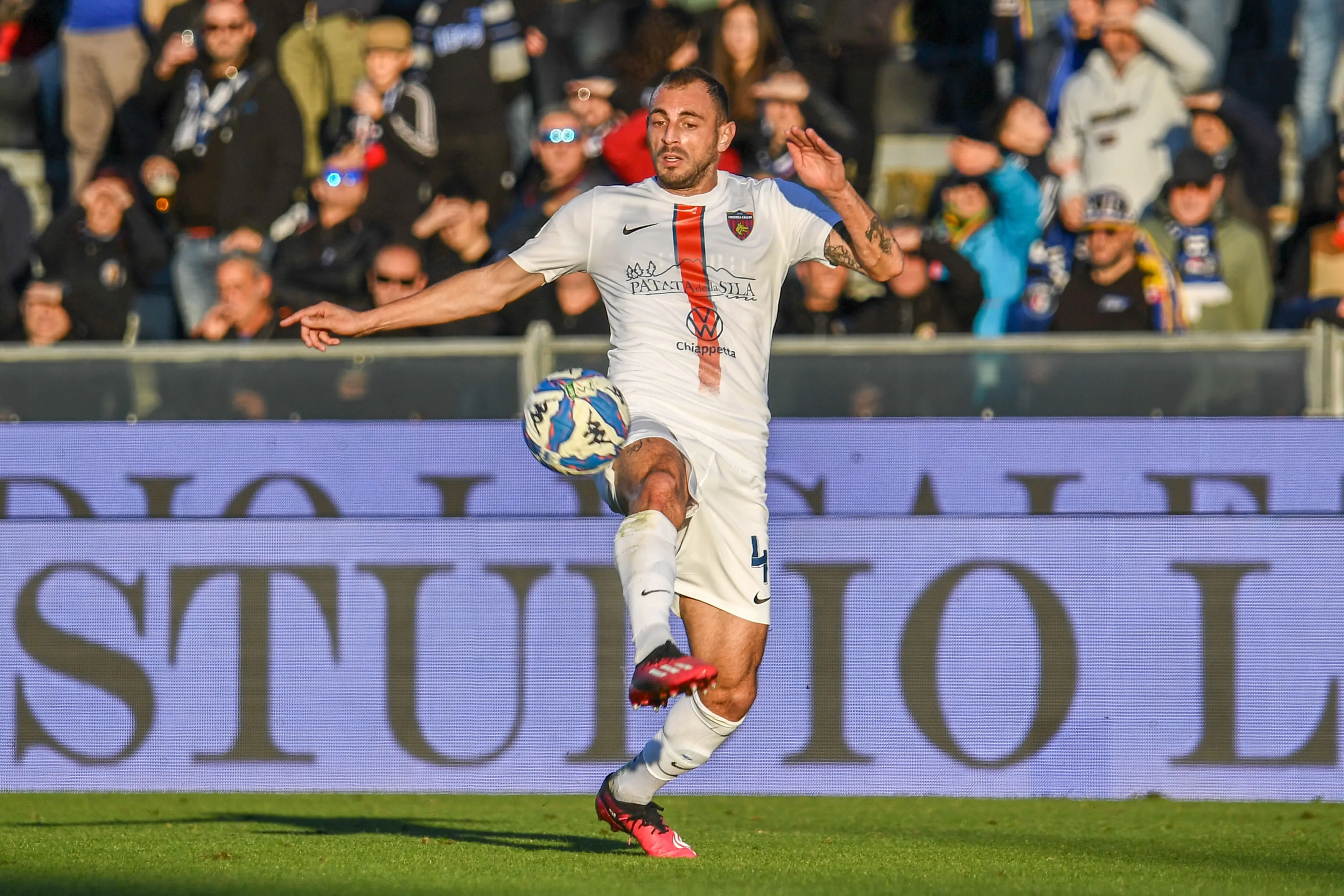 Pietro Martino (Cosenza) during AC Pisa vs Cosenza Calcio, Italian soccer Serie B match in Pisa, Italy, December 01 2024