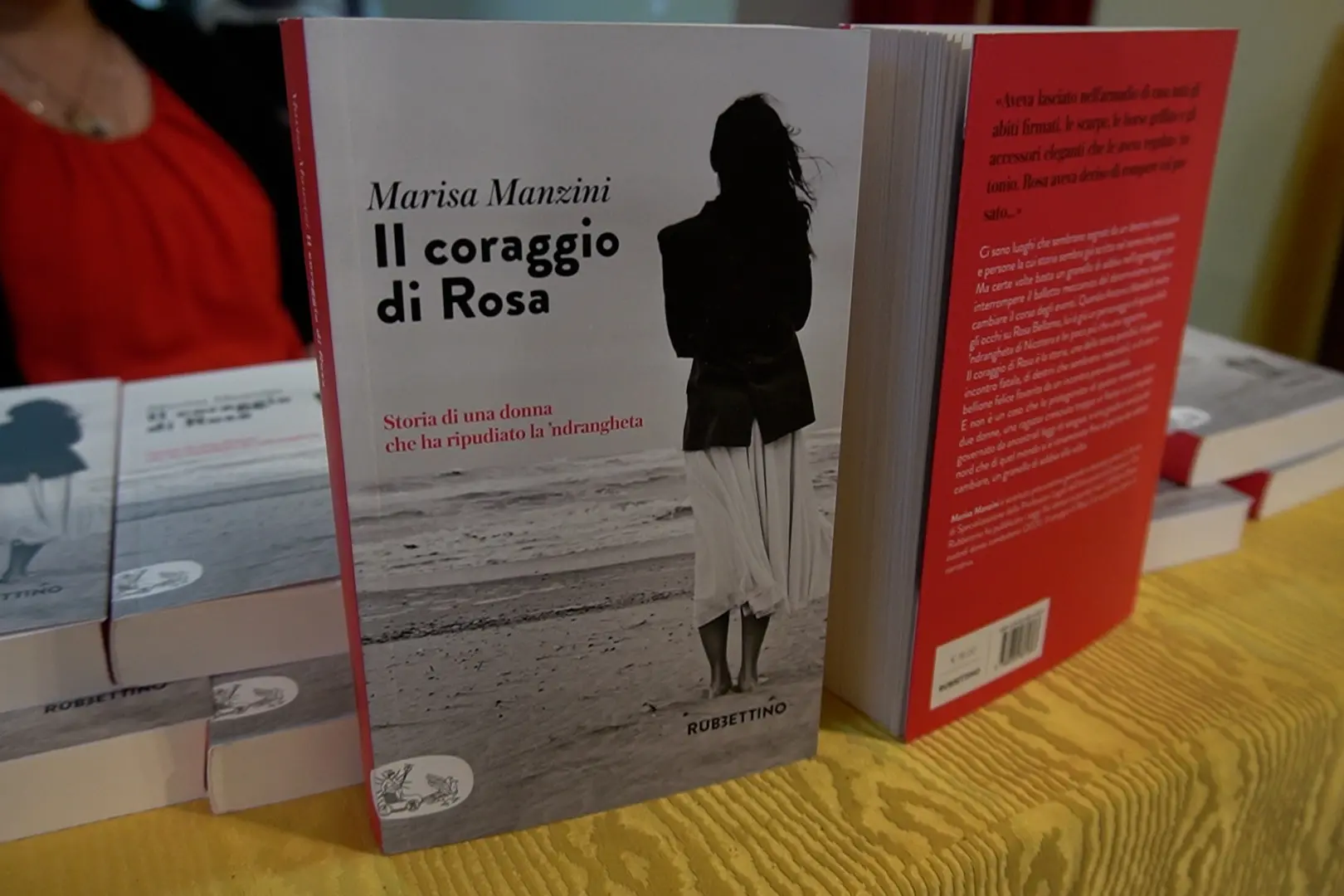<p>La copertina del libro</p>\\n