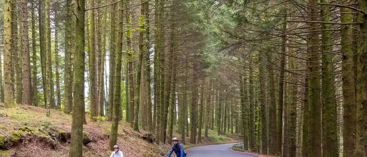 Il cicloturismo vale\u00A05,5 miliardi: l’Italia pedala, la Calabria sorprende con i suoi percorsi tra storia e natura\n