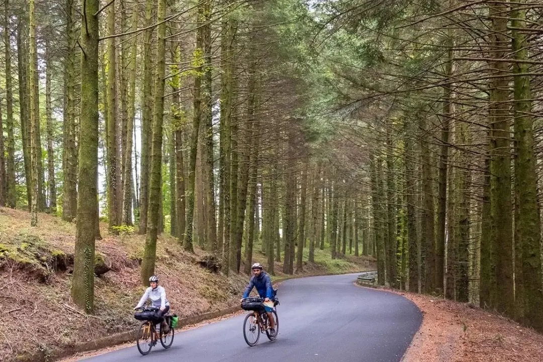 Il cicloturismo vale\u00A05,5 miliardi: l’Italia pedala, la Calabria sorprende con i suoi percorsi tra storia e natura\n