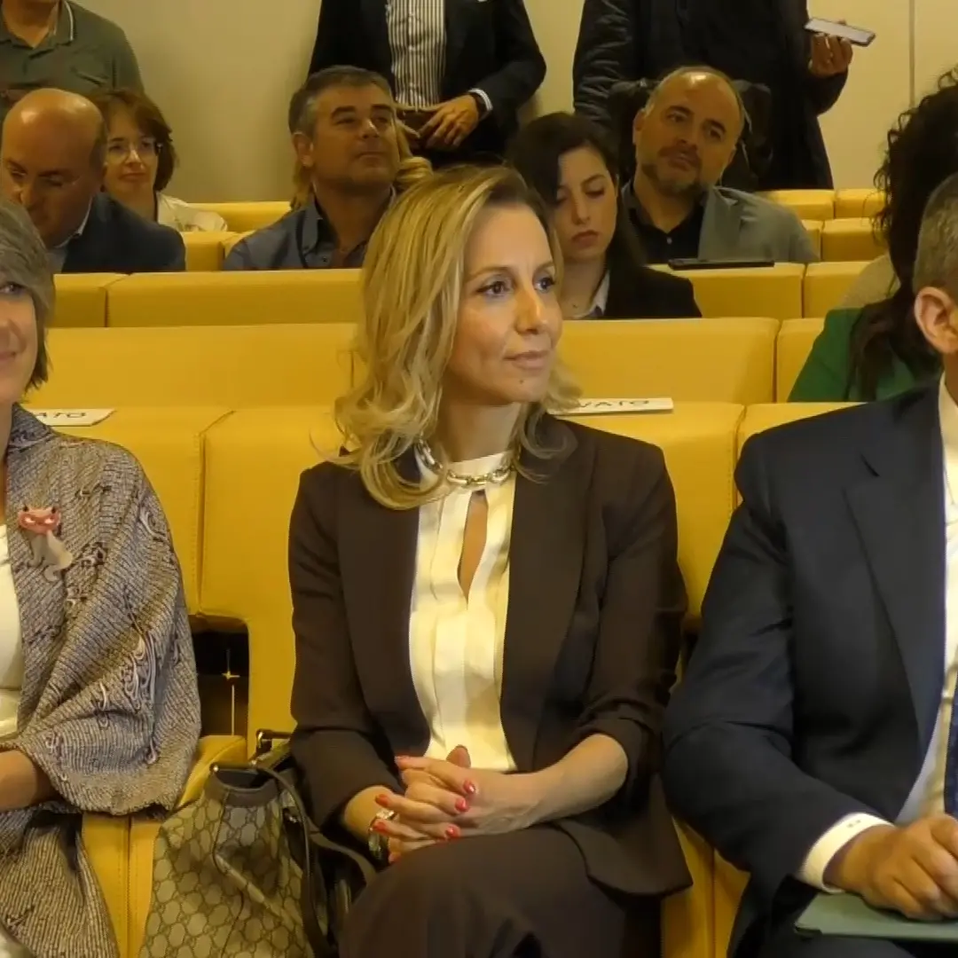 Parità di genere, oltre 300 aziende calabresi\u00A0hanno risposto\u00A0al bando da 3 milioni della Regione: «Pronti a investire di più»