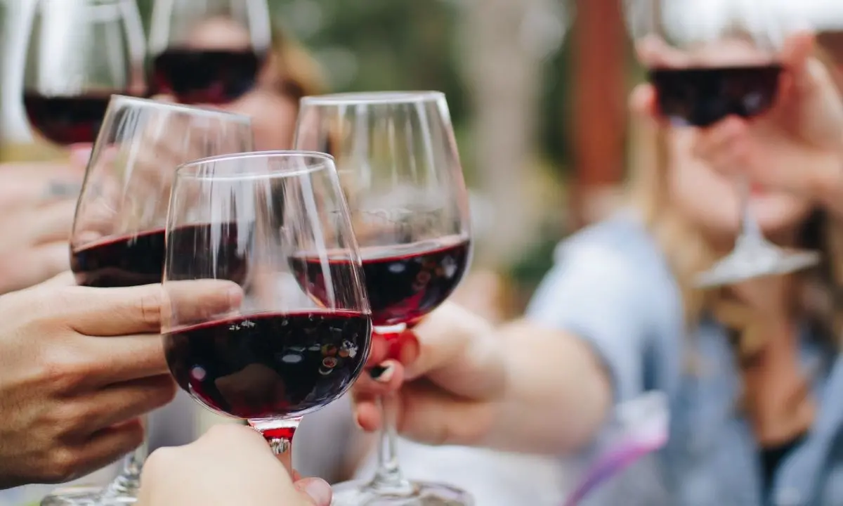 Il vino come metafora di vita: il Chiarello di Cirella protagonista del racconto scritto dagli studenti\n