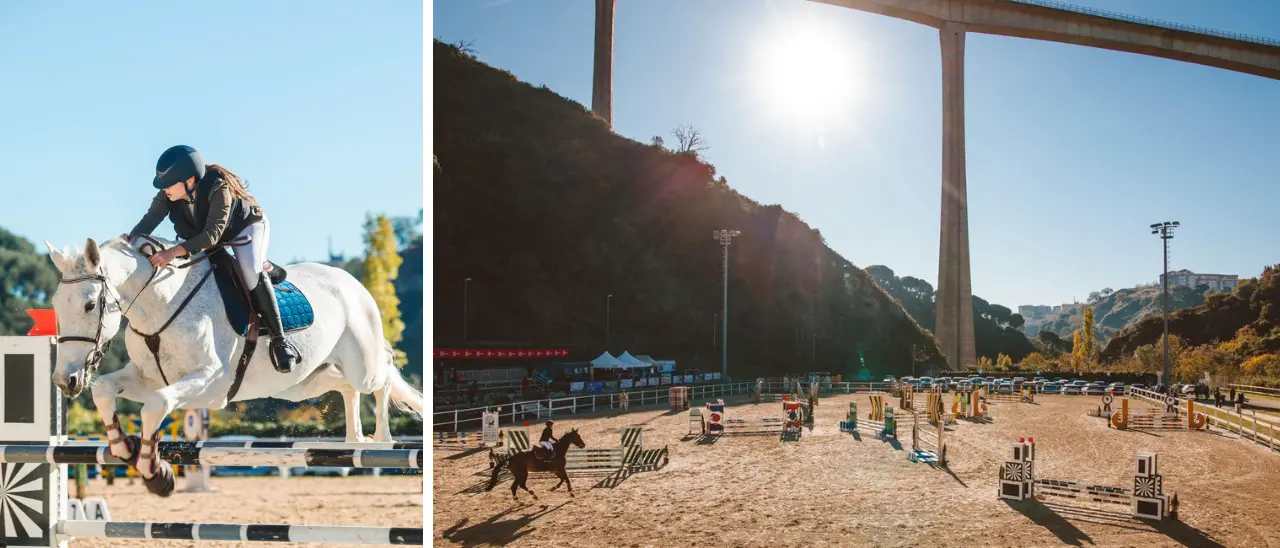 Catanzaro capitale dell’equitazione: tutto pronto per\u00A0il campionato regionale di salto ostacoli\n