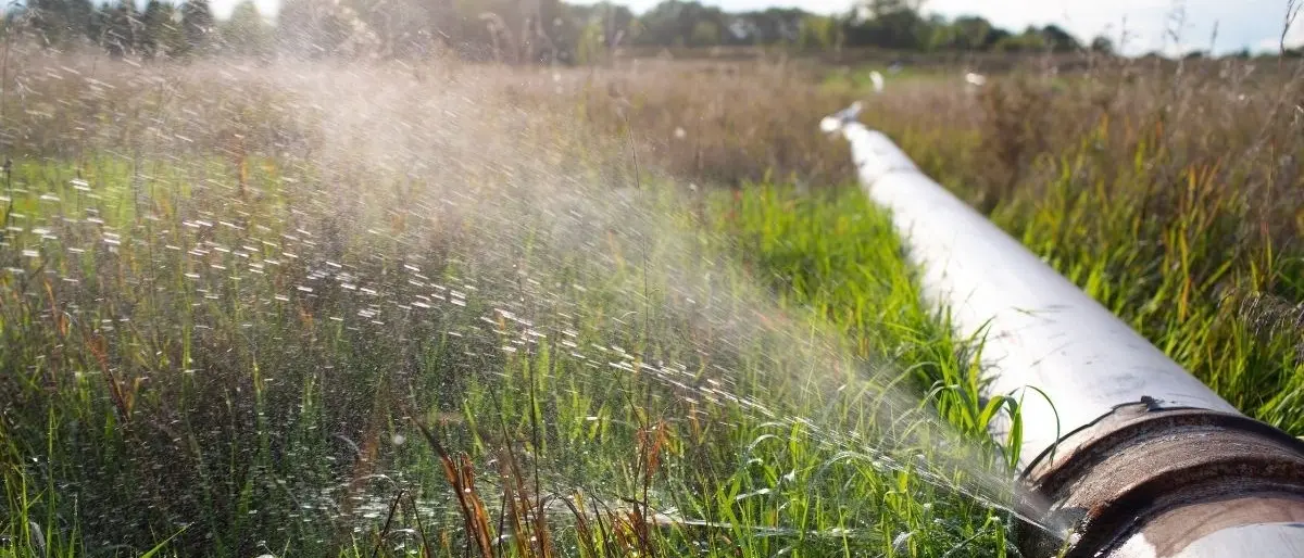 Carenza idrica in Calabria, situazione critica nelle province di Crotone e Reggio: è allarme\n
