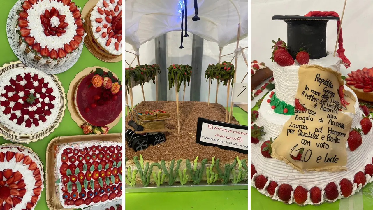 La dolcezza della tradizione: Acconia e il suo orgoglio per la Festa della Fragola\n