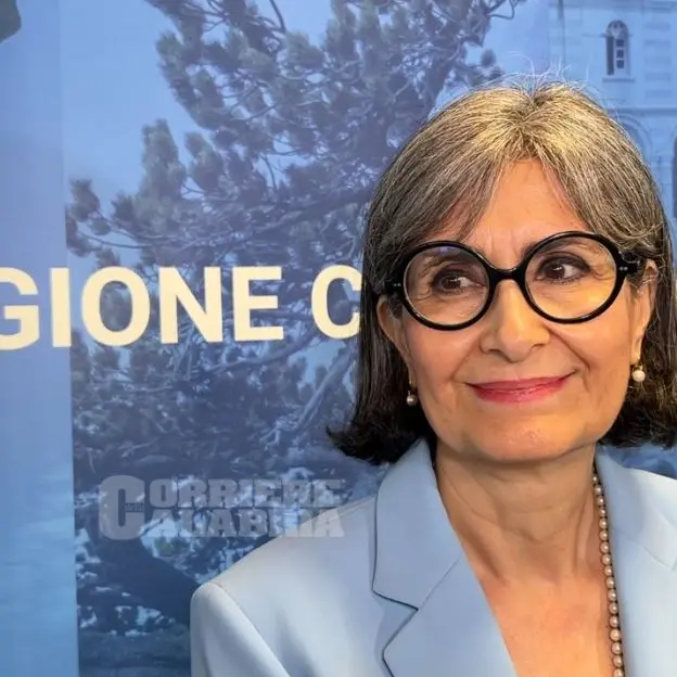 Ridimensionamento scolastico, botta e risposta tra il Pd e l’assessore Caracciolo: «Calabria realtà virtuosa»\n