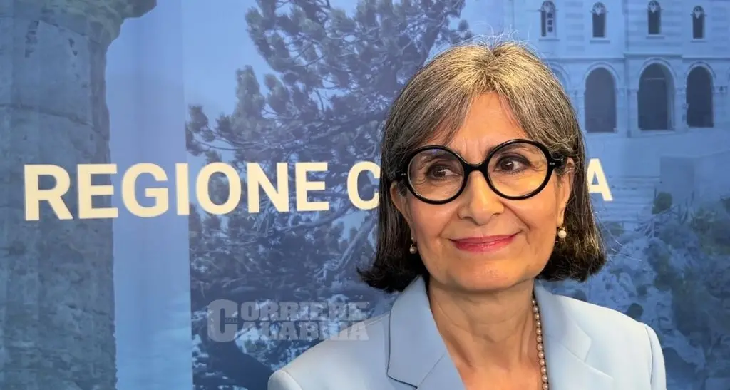 Ridimensionamento scolastico, botta e risposta tra il Pd e l’assessore Caracciolo: «Calabria realtà virtuosa»\n