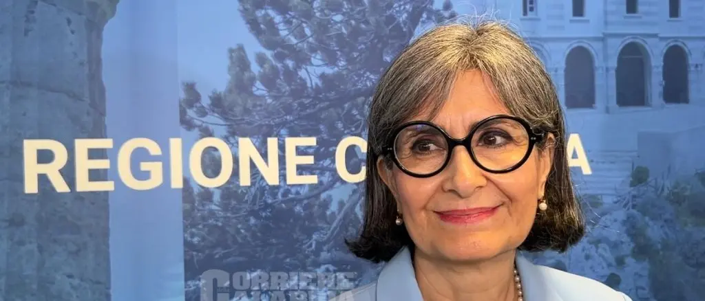 Ridimensionamento scolastico, botta e risposta tra il Pd e l’assessore Caracciolo: «Calabria realtà virtuosa»\n