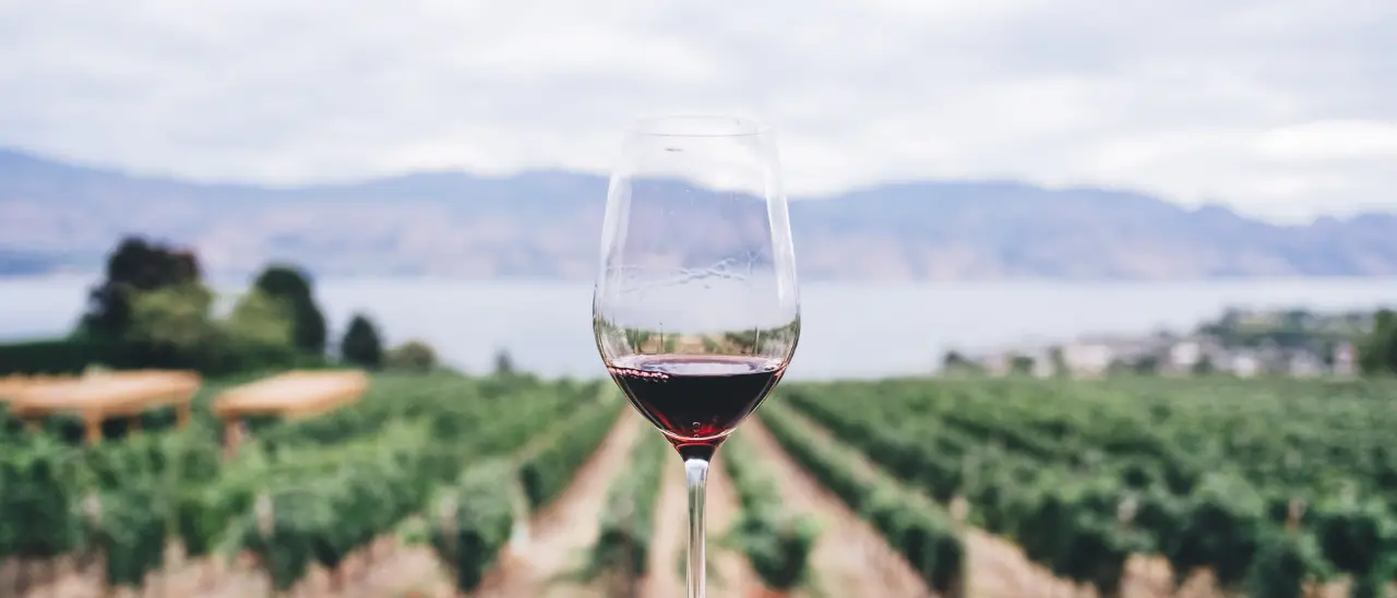 Un pezzetto di Calabria nella sentenza che ha bloccato i dazi di Trump: ricorso promosso da un importatore di Cirò\n