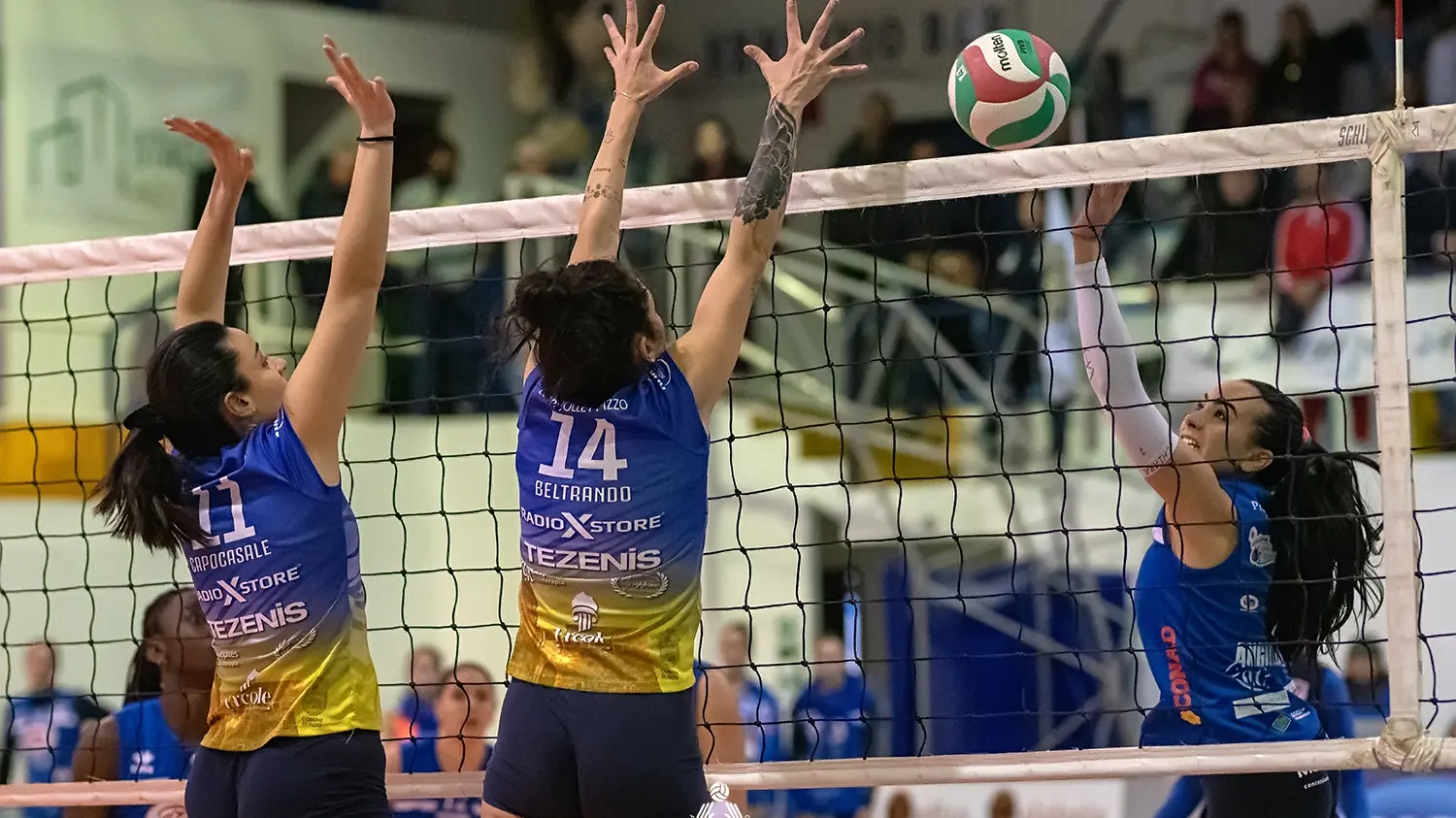 <p>Pizzo e Todosport all&#39;ultimo atto in Serie C (foto Fipav-Natale)</p>\\n