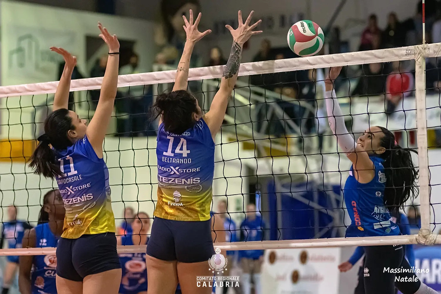<p>Pizzo e Todosport all&#39;ultimo atto in Serie C (foto Fipav-Natale)</p>\\n
