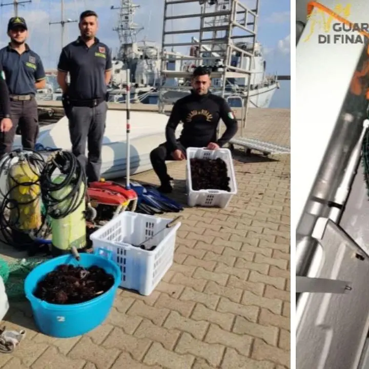 Sorpresi quattro bracconieri mentre depredavano ricci di mare nel Vibonese, rimessi in mare 750 esemplari\u00A0\n