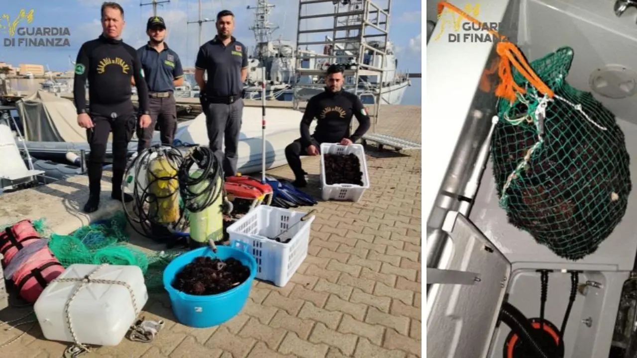 Sorpresi quattro bracconieri mentre depredavano ricci di mare nel Vibonese, rimessi in mare 750 esemplari\u00A0\n
