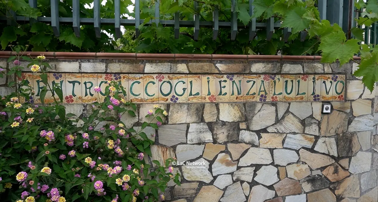 Tortora, parte il progetto “Pathos-Logico” per contrastare il fenomeno della ludopatia tra i giovani