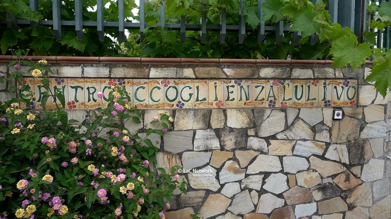 Tortora, parte il progetto “Pathos-Logico” per contrastare il fenomeno della ludopatia tra i giovani