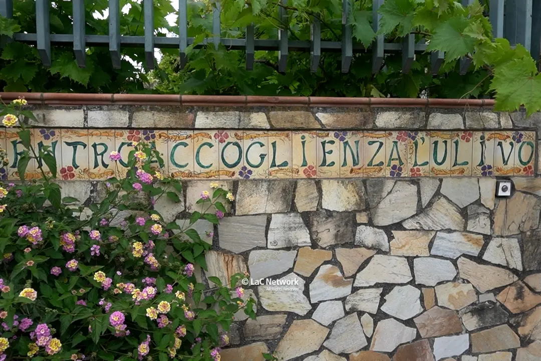 <p>L&#39;ingresso del centro di accoglienza &quot;L&#39;ulivo&quot; di Tortora</p>\\n