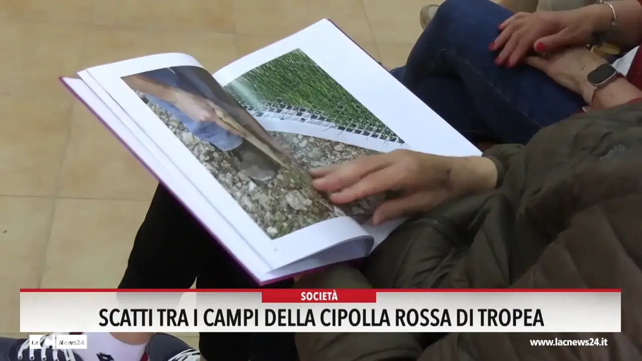 Scatti tra i campi della cipolla rossa di Tropea