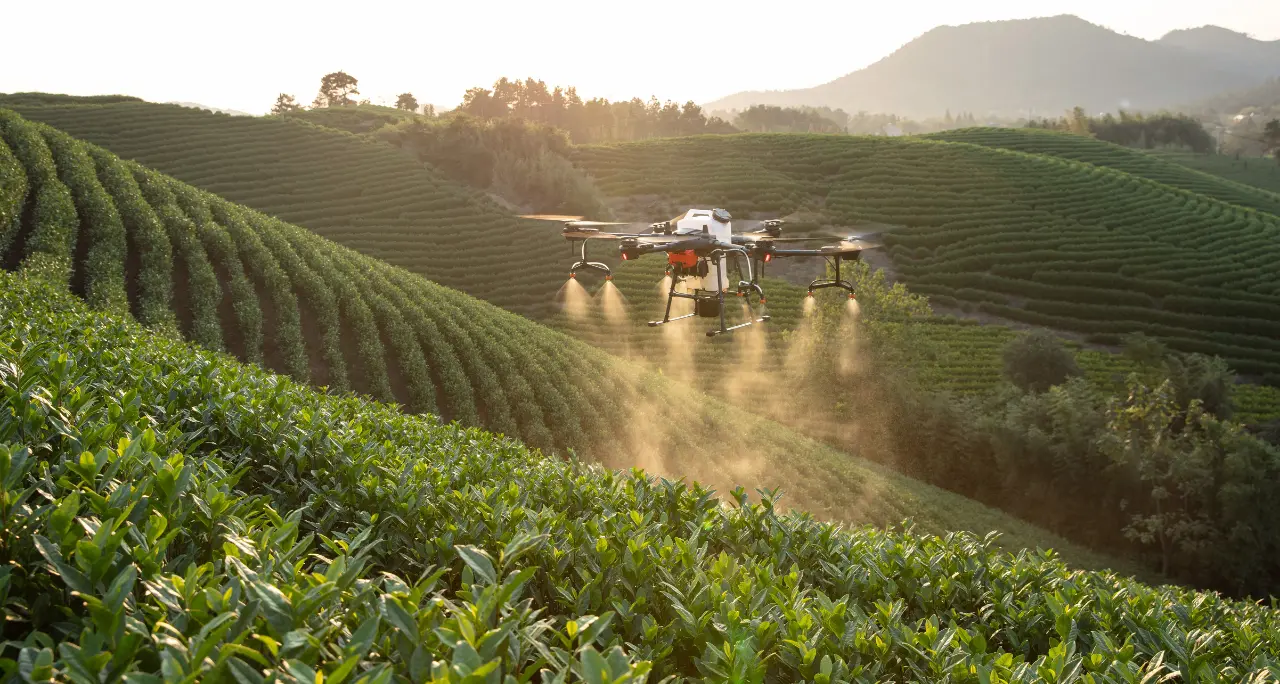 Non solo zappa ma anche droni e algoritmi, in Italia l'agricoltura cambia volto e diventa smart\n