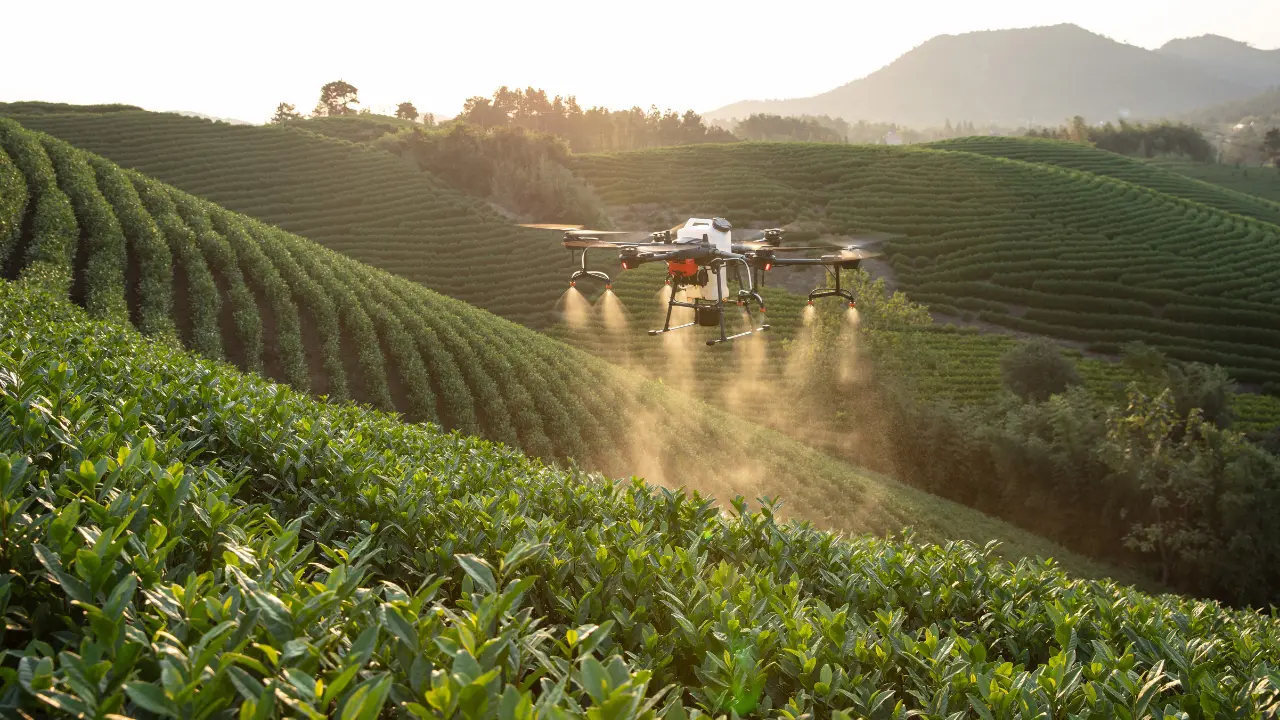 Non solo zappa ma anche droni e algoritmi, in Italia l'agricoltura cambia volto e diventa smart\n