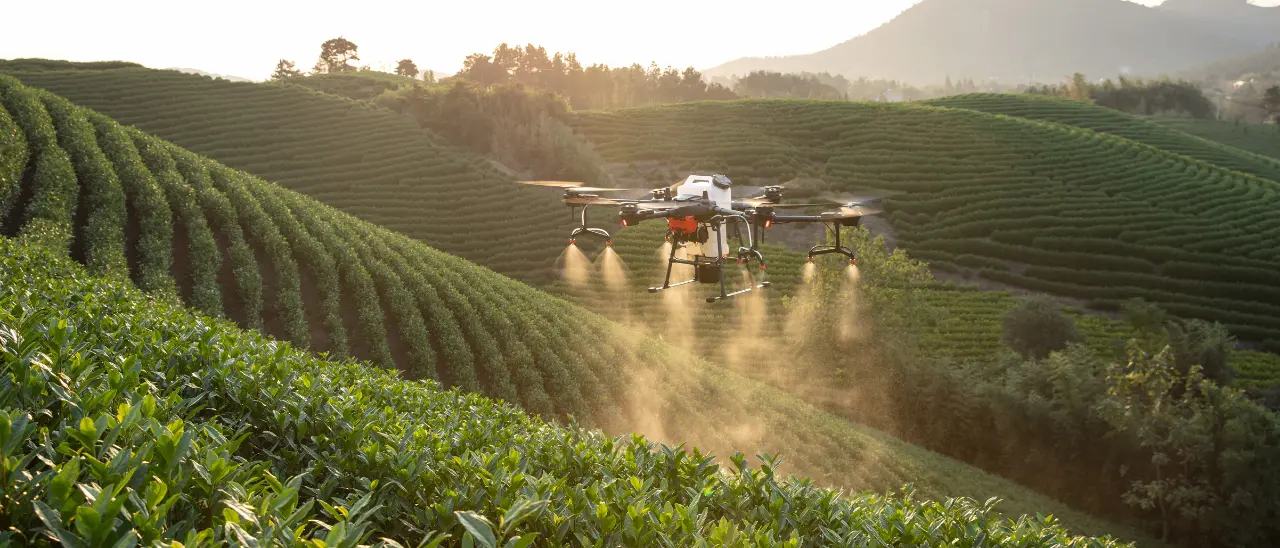 Non solo zappa ma anche droni e algoritmi, in Italia l'agricoltura cambia volto e diventa smart\n