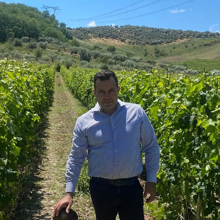 Mario Bruni e la sfida del Cabernet Sauvignon coltivato lungo la valle del Lipuda, a Melissa\n