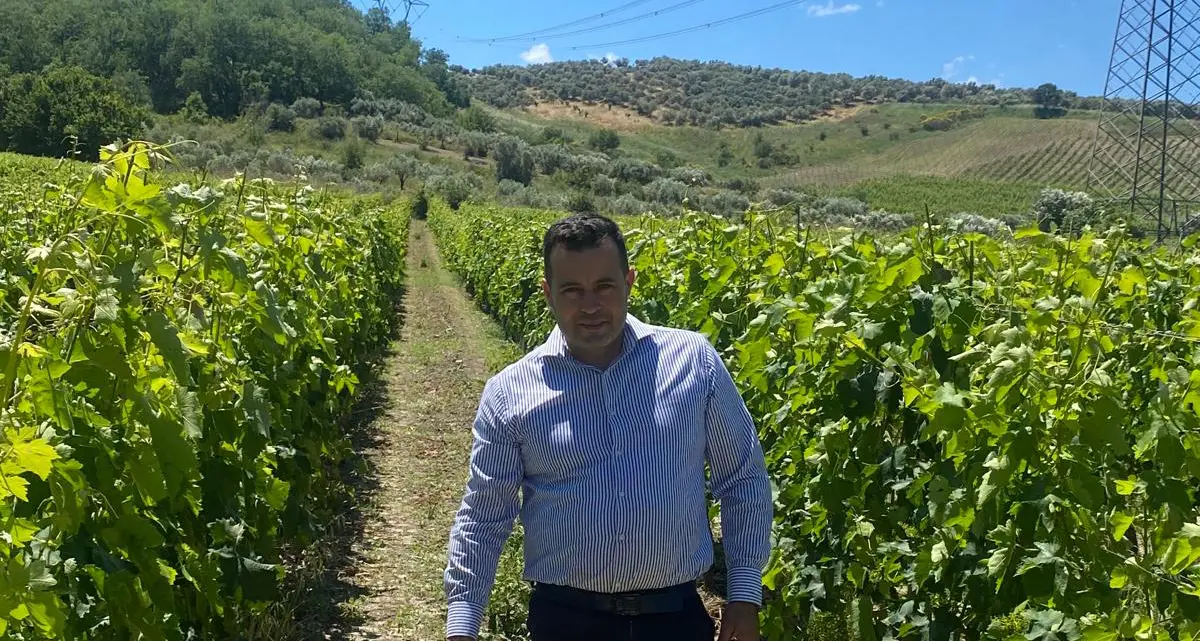 Mario Bruni e la sfida del Cabernet Sauvignon coltivato lungo la valle del Lipuda, a Melissa\n
