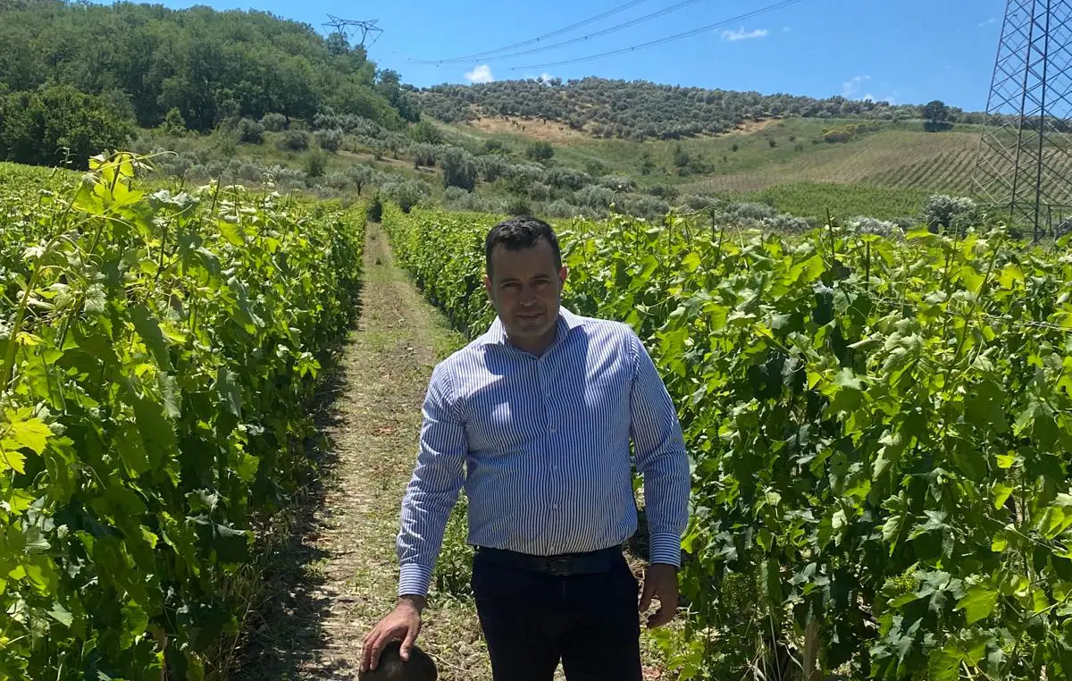 Mario Bruni e la sfida del Cabernet Sauvignon coltivato lungo la valle del Lipuda, a Melissa\n