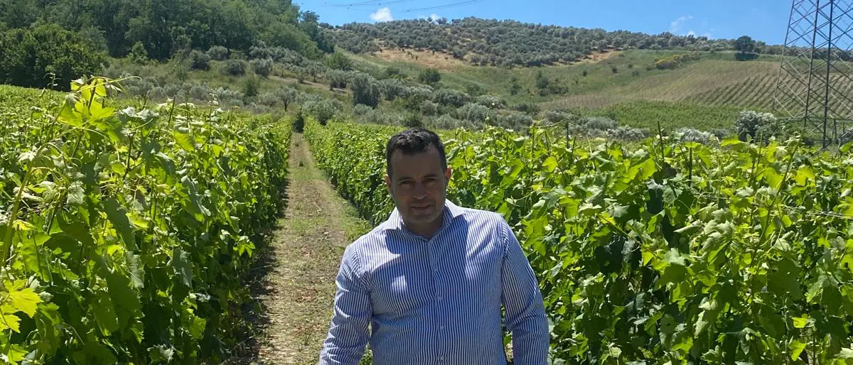 Mario Bruni e la sfida del Cabernet Sauvignon coltivato lungo la valle del Lipuda, a Melissa\n