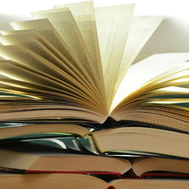 Letteratura e memoria, il Festival del Sud-Valentia in festa fa tappa in 4 Comuni calabresi\n