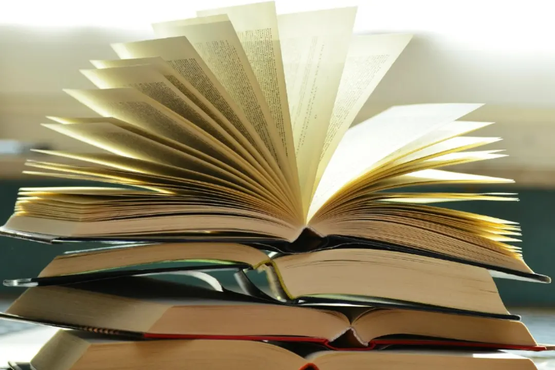 Letteratura e memoria, il Festival del Sud-Valentia in festa fa tappa in 4 Comuni calabresi\n