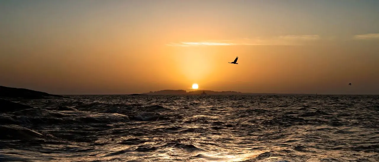 2040, l’ultima estate: cronache di un inviato speciale dal futuro, tra le rovine bollenti del mondo che fu\n