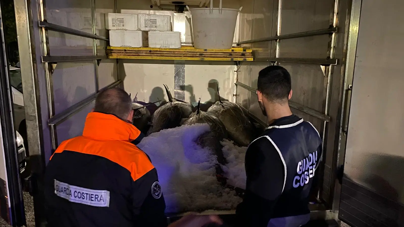 Sequestrati nel Reggino\u00A0dieci quintali di pregiato tonno rosso pescati illegalmente