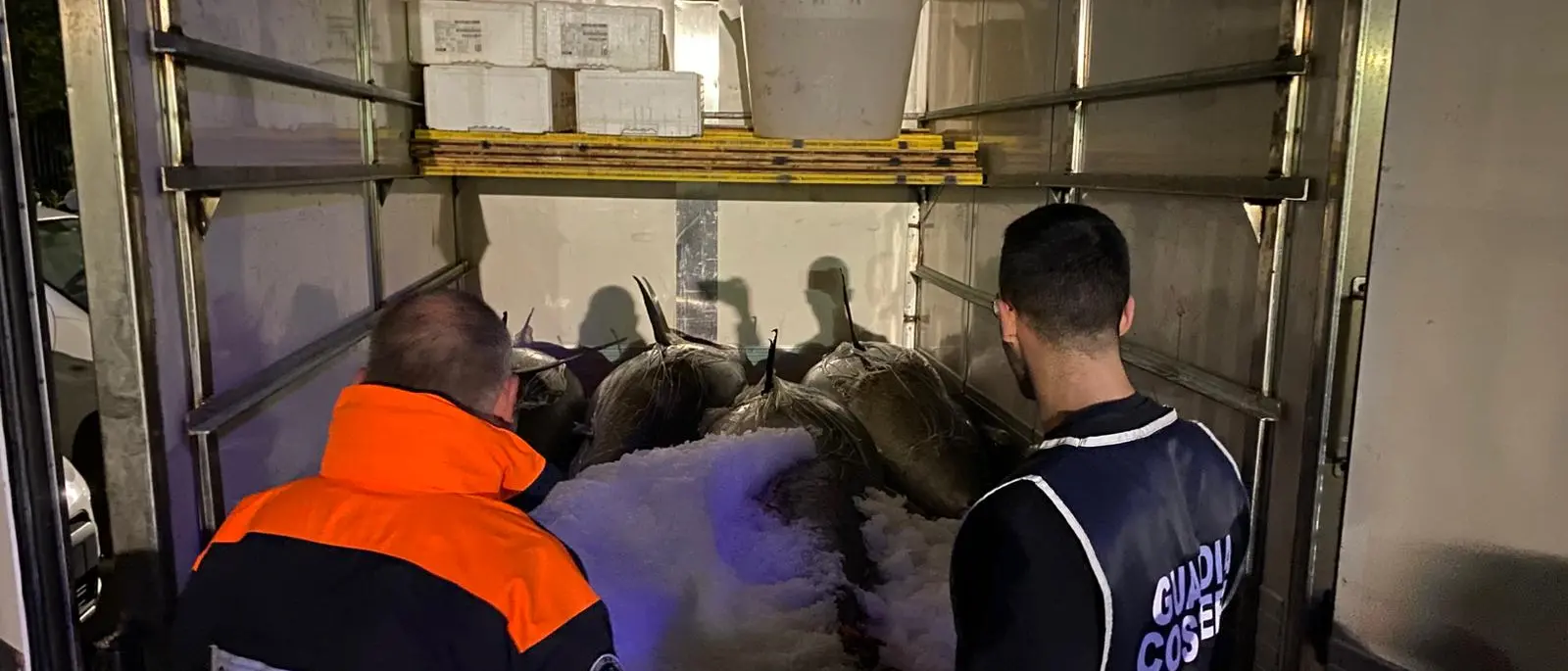 Sequestrati nel Reggino\u00A0dieci quintali di pregiato tonno rosso pescati illegalmente