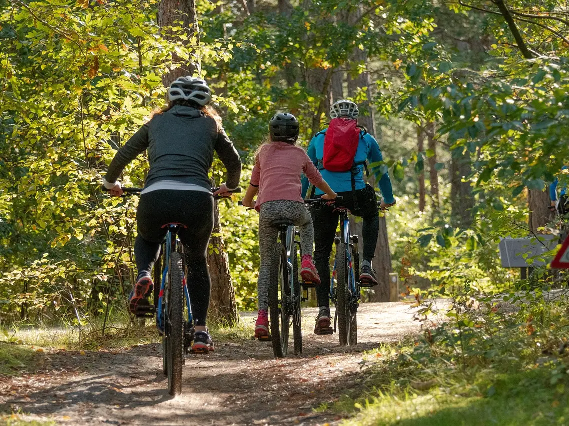La Calabria punta sui pedali: 800 km di piste ciclabili per riscrivere la mappa del turismo green in Italia