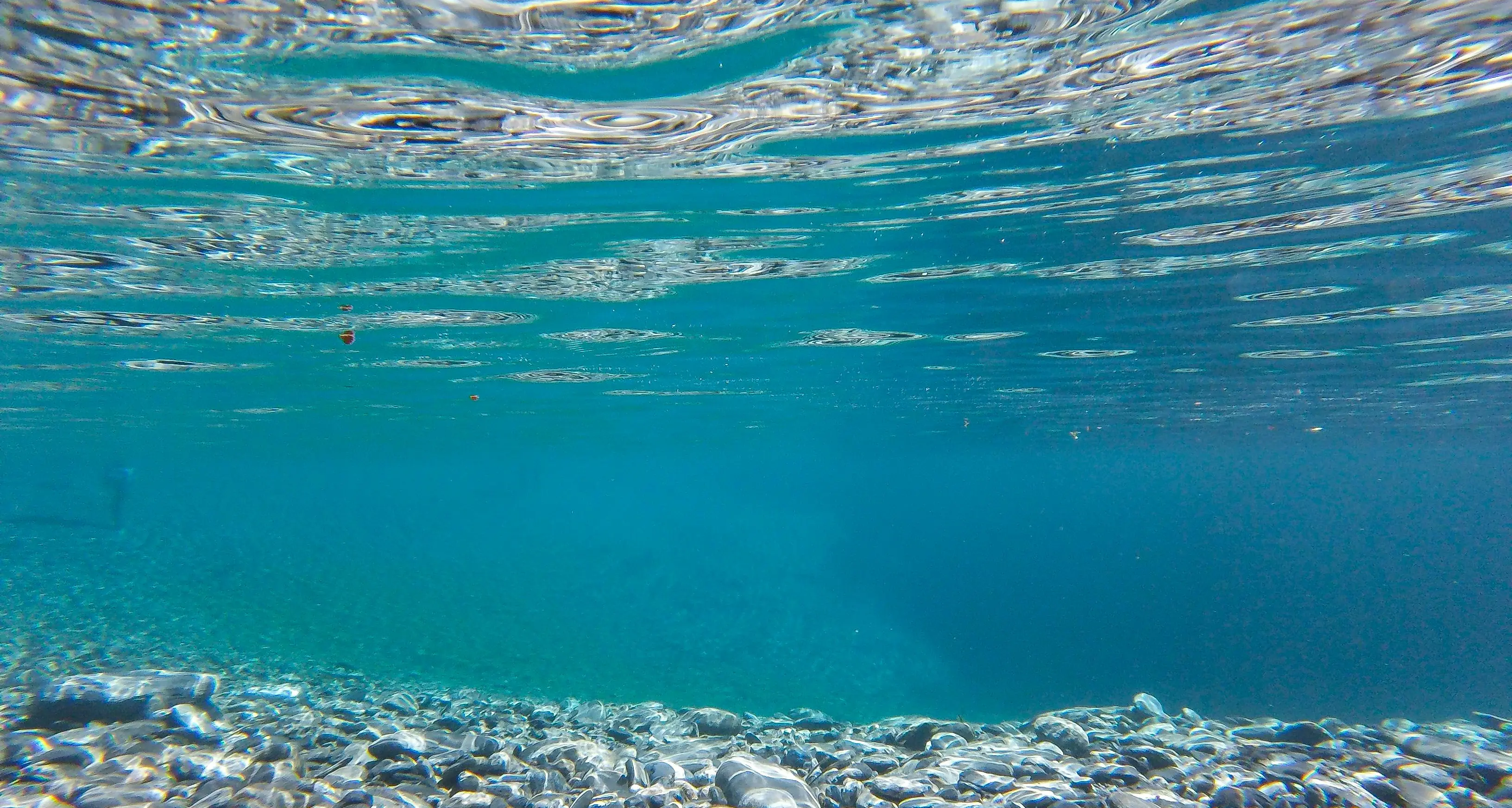 Mare, oltre 5mila chilometri di litorale \"eccellente\" in Italia: in Calabria sono 621