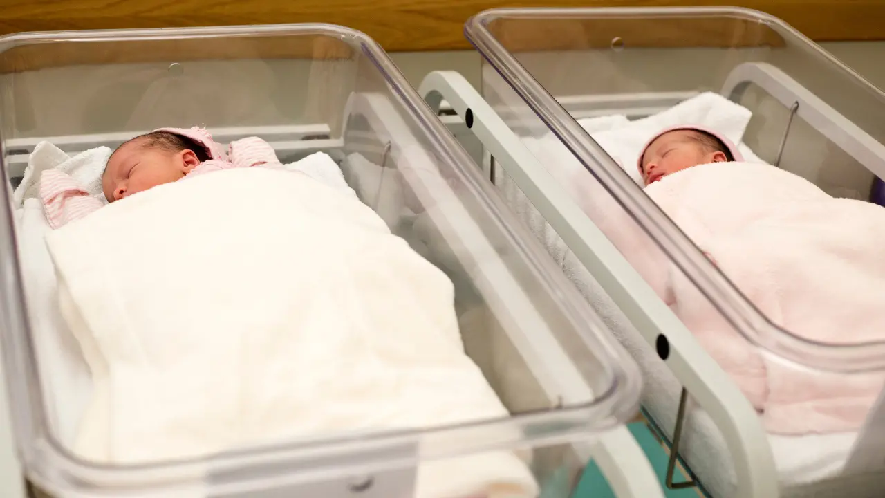 Bambini venduti a Crotone, svolta nel caso dei gemelli: aperta un’indagine mentre un uomo si fa avanti. Attesa per il Dna\n