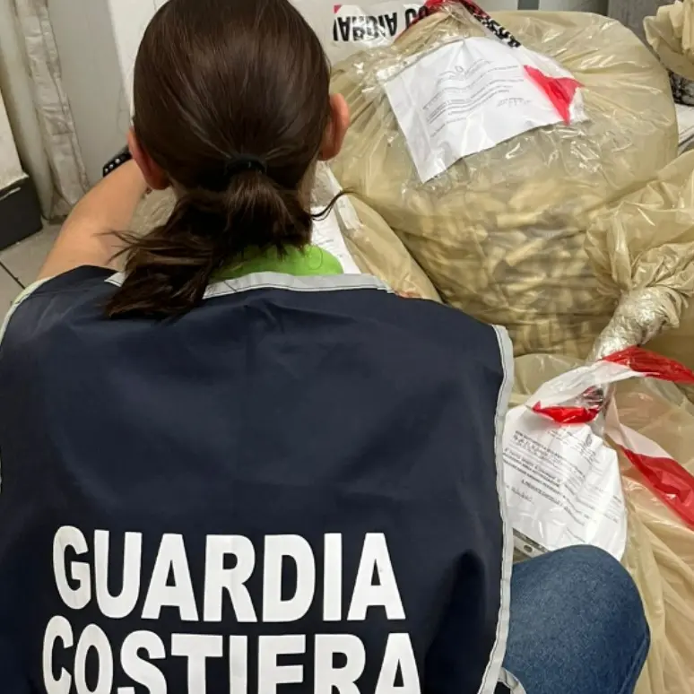 Vibo, prodotti ittici conservati male e carenze igienico-sanitarie: multa a ristorante di cucina etnica\n