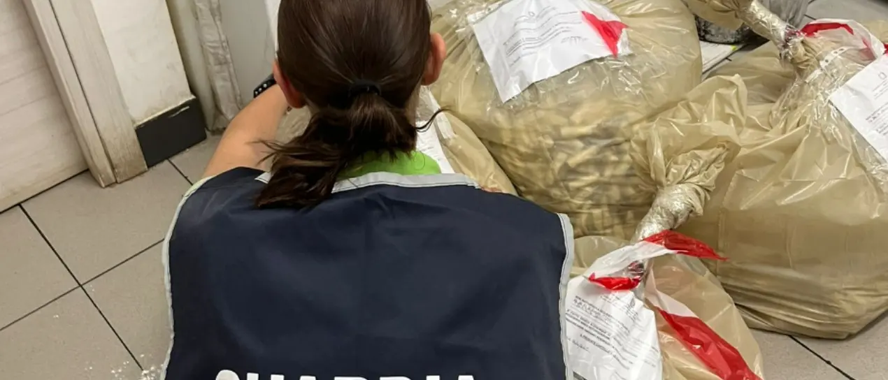 Vibo, prodotti ittici conservati male e carenze igienico-sanitarie: multa a ristorante di cucina etnica\n