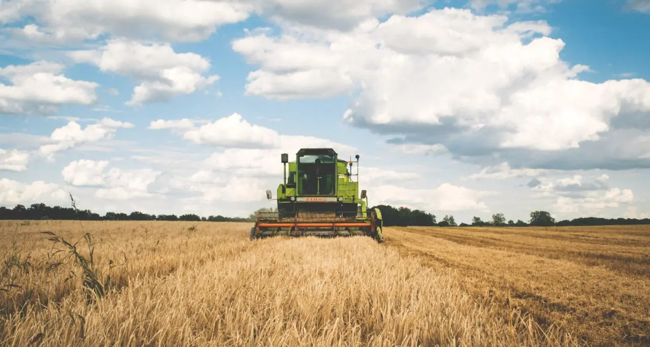 Agricoltura calabrese sotto attacco: Coldiretti chiede stop ai dazi per salvare export e Made in Italy\n