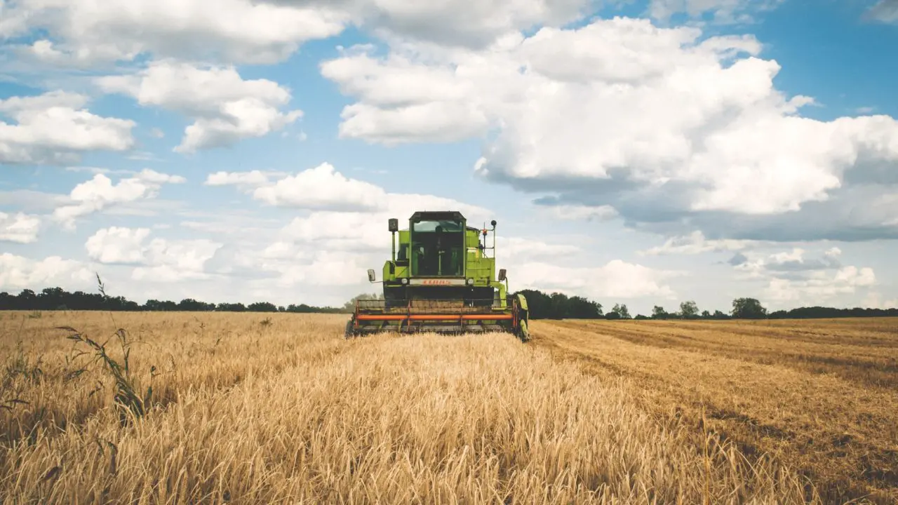 Agricoltura calabrese sotto attacco: Coldiretti chiede stop ai dazi per salvare export e Made in Italy\n