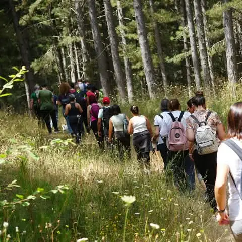 Camigliatello Silano, arriva la Festa della foresta:\u00A0un’immersione nel benessere del\u00A0Parco della Sila\n
