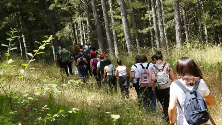 Camigliatello Silano, arriva la Festa della foresta:\u00A0un’immersione nel benessere del\u00A0Parco della Sila\n