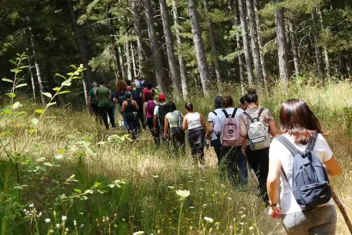 Camigliatello Silano, arriva la Festa della foresta:\u00A0un’immersione nel benessere del\u00A0Parco della Sila\n