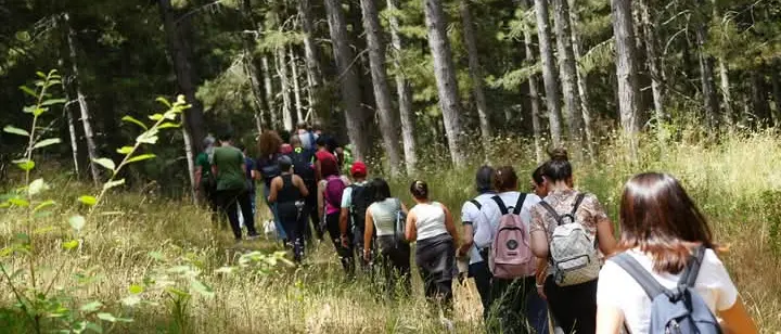 Camigliatello Silano, arriva la Festa della foresta:\u00A0un’immersione nel benessere del\u00A0Parco della Sila\n