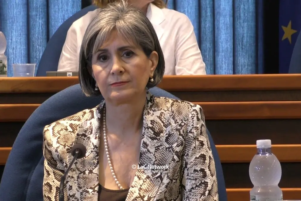 <p>L&rsquo;assessore all&rsquo;Istruzione della Regione Calabria, Maria Stefania Caracciolo</p>\\n