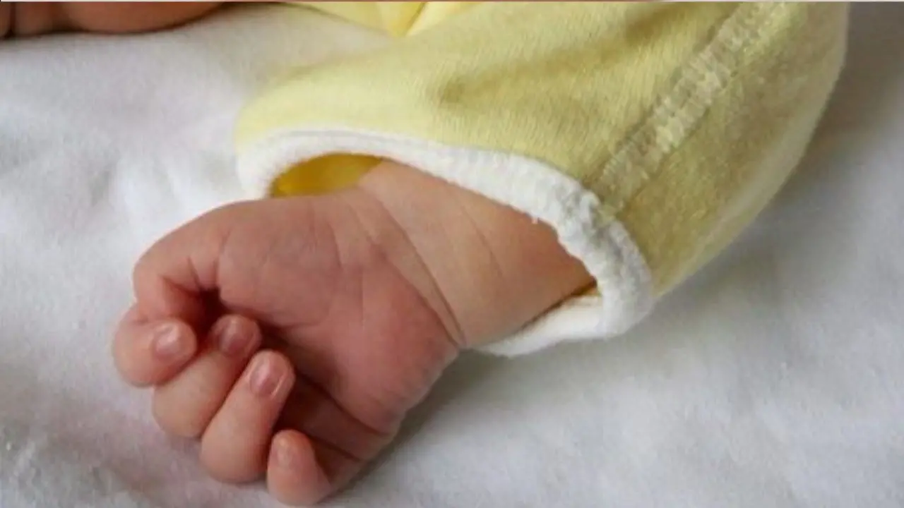 Bambini venduti a Crotone, spunta un nuovo caso. Stella denuncia: «Avevo 17 anni,\u00A0non mi fecero mai vedere la bimba»\n