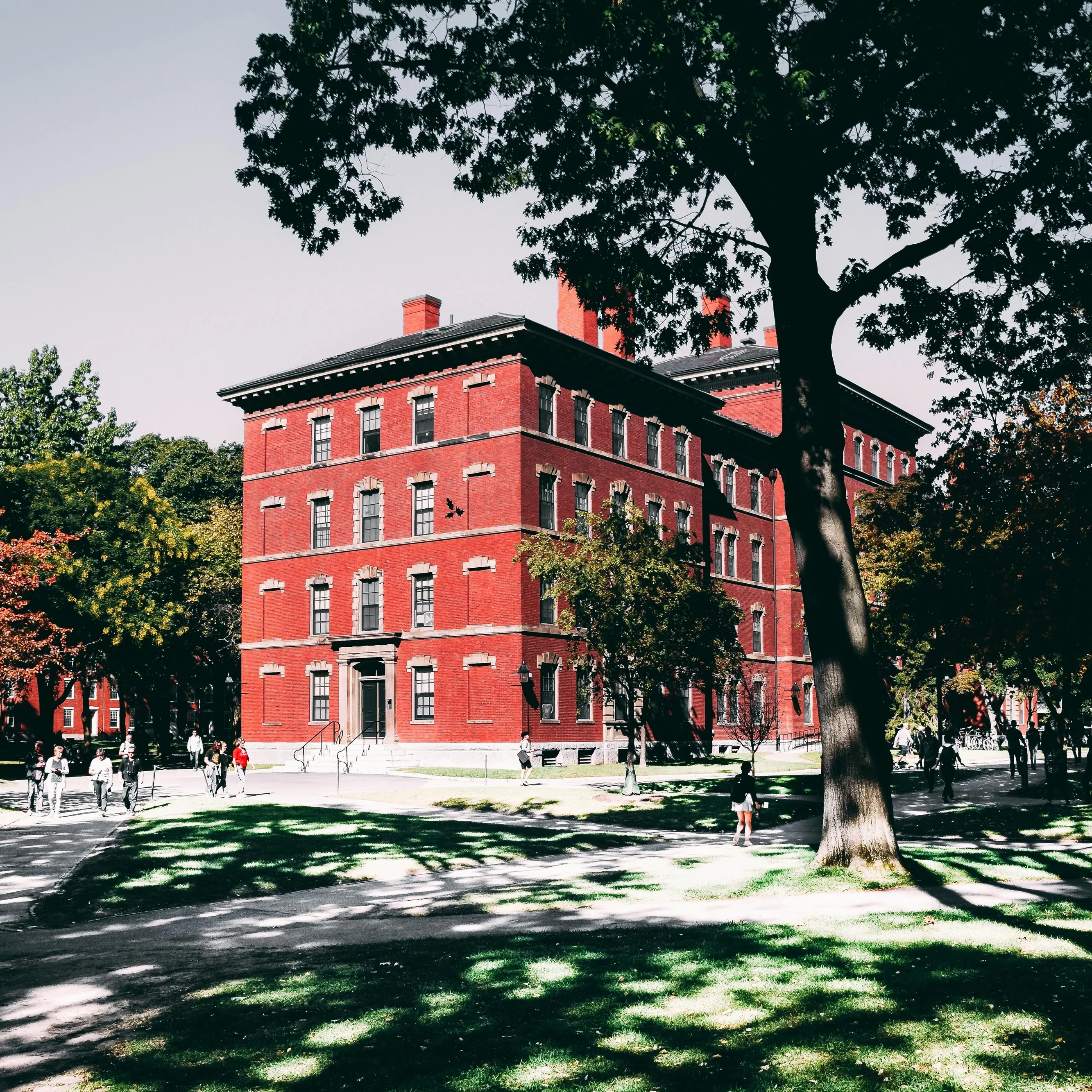 Harvard ancora nel mirino di\u00A0Trump: un colpo simbolico al cuore pulsante dell’America colta e progressista\n