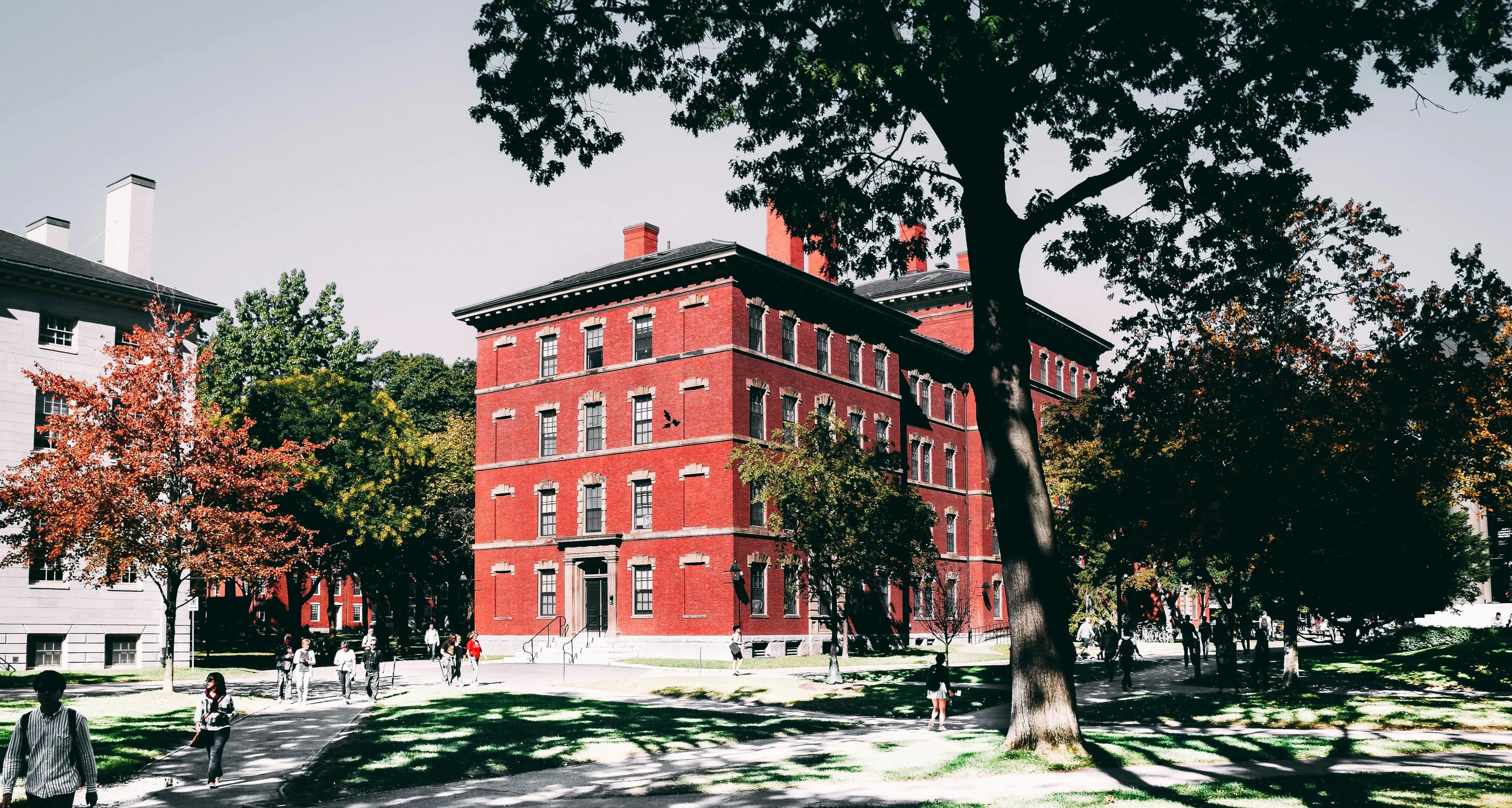 Harvard ancora nel mirino di\u00A0Trump: un colpo simbolico al cuore pulsante dell’America colta e progressista\n